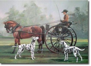 Картина Далматины и лошади