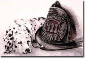 Картина далматин-пожарный